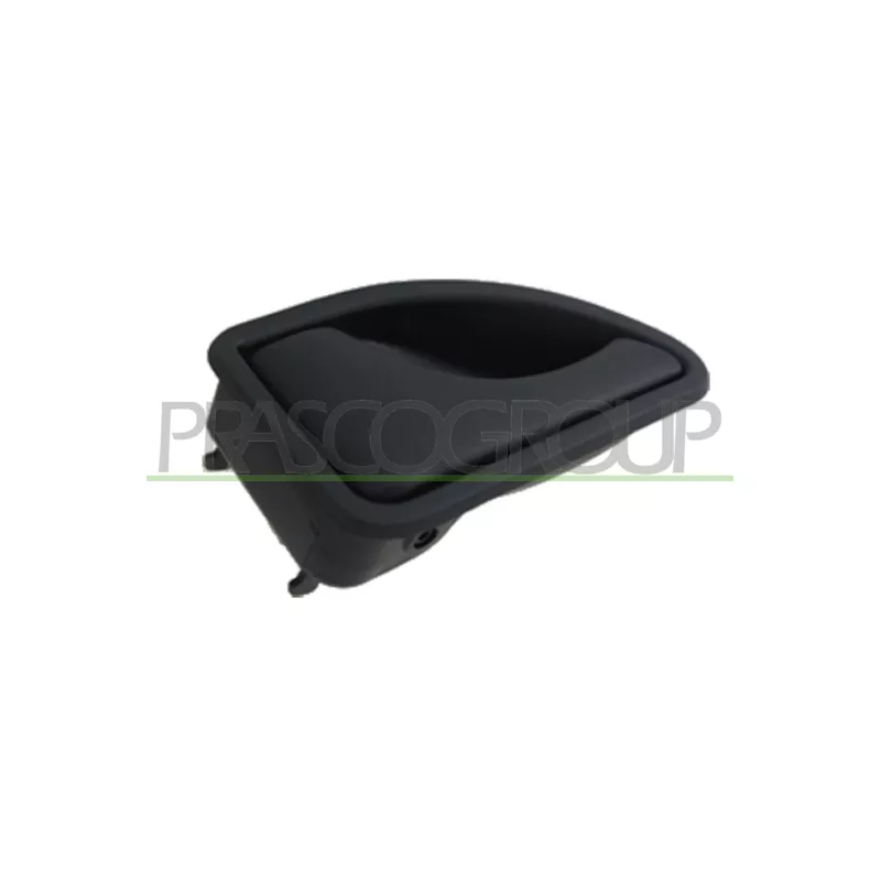 Poignet de porte, équipment intérieur avant gauche PRASCO DS9178402