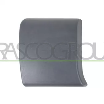 Baguette et bande protectrice, porte avant droit PRASCO DS9521415
