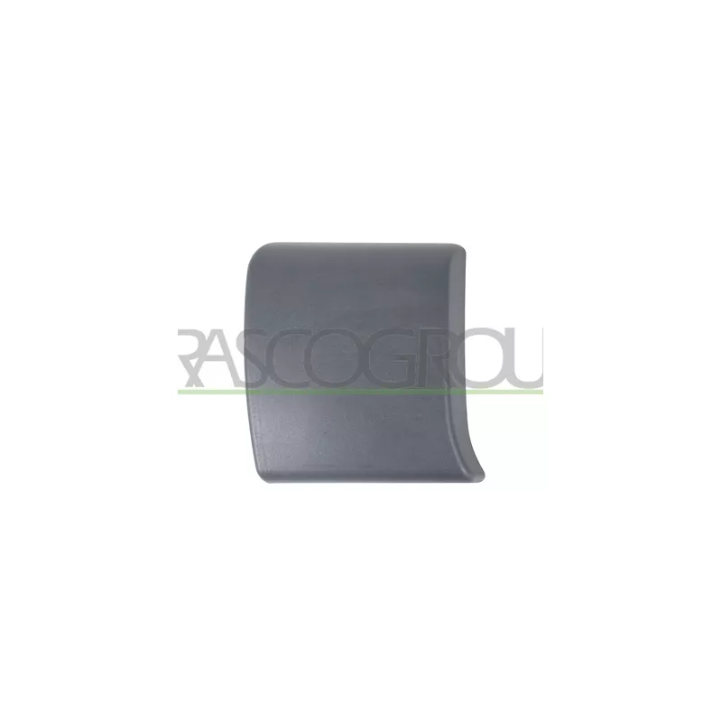 Baguette et bande protectrice, porte avant droit PRASCO DS9521415