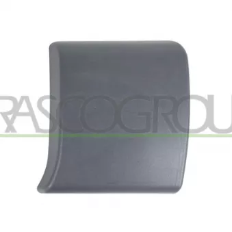 Baguette et bande protectrice, porte avant gauche PRASCO DS9521416