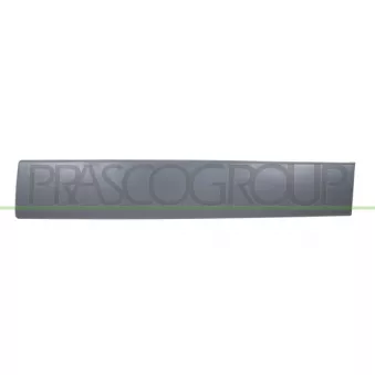 Baguette et bande protectrice, porte avant gauche PRASCO DS9521454