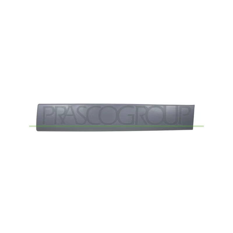 Baguette et bande protectrice, porte avant gauche PRASCO DS9521454