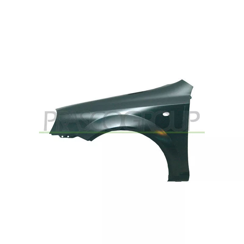 Aile avant gauche PRASCO DW0093014