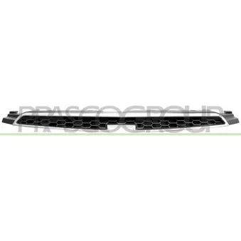 Grille de radiateur PRASCO DW0402001