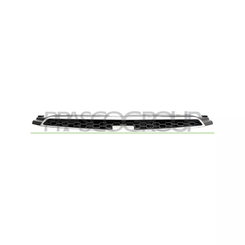 Grille de radiateur PRASCO DW0402001