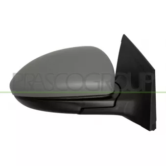 Rétroviseur extérieur PRASCO DW0407223