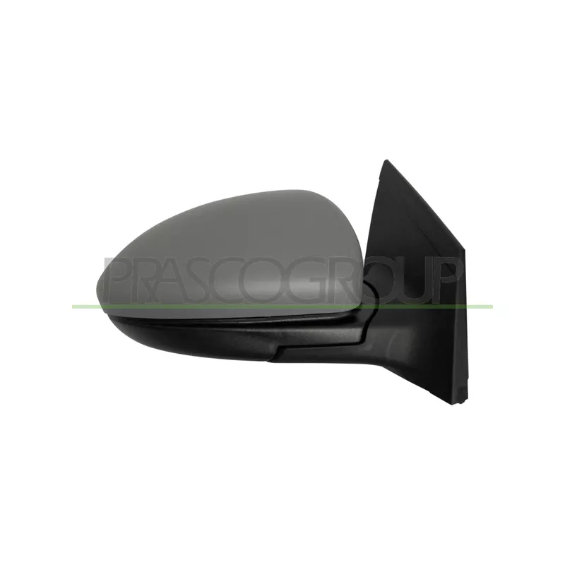 Rétroviseur extérieur PRASCO DW0407223