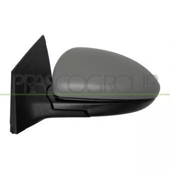 Rétroviseur extérieur PRASCO DW0407224