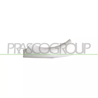 Enjoliveur, projecteur principal avant gauche PRASCO DW3202104