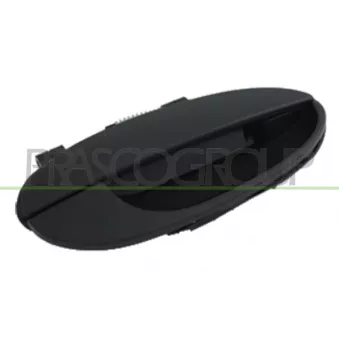 Poignée extérieure de porte arrière droit PRASCO DW3208101