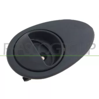 Poignet de porte, équipment intérieur avant droit PRASCO DW3208601