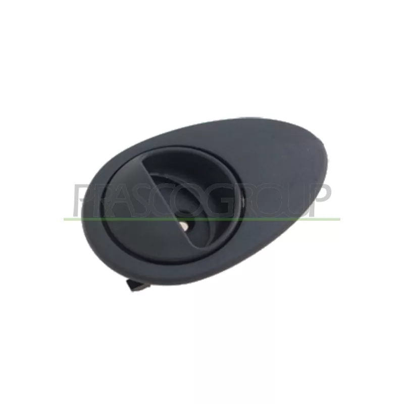 Poignet de porte, équipment intérieur avant droit PRASCO DW3208601