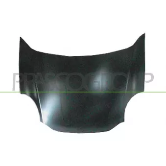 Capot-moteur PRASCO