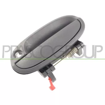 Poignée extérieure de porte avant gauche PRASCO DW3248002