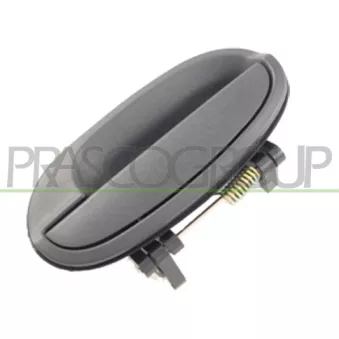 Poignée extérieure de porte arrière gauche PRASCO DW3248102