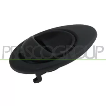 Poignet de porte, équipment intérieur avant droit PRASCO DW3248601