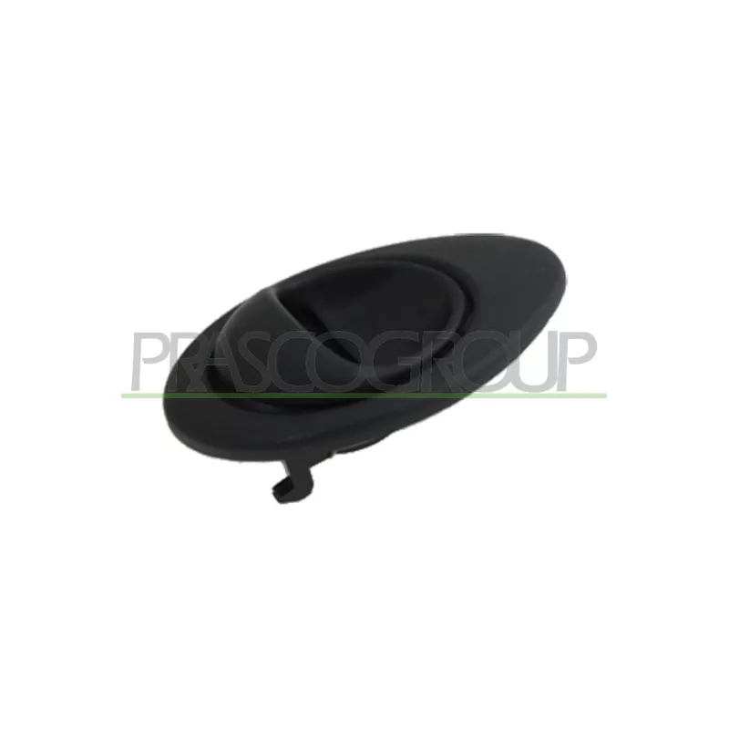 Poignet de porte, équipment intérieur avant droit PRASCO DW3248601