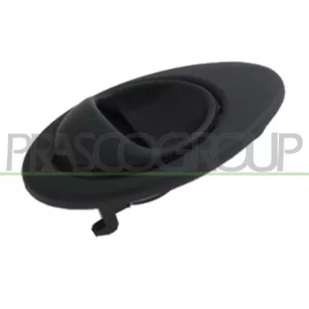 Poignet de porte, équipment intérieur avant gauche PRASCO DW3248602
