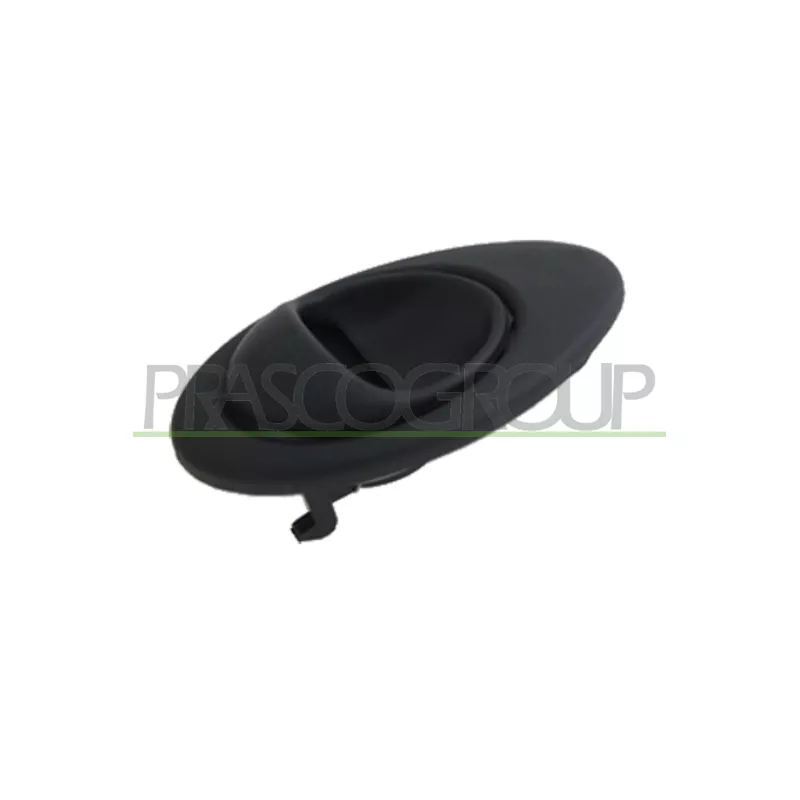 Poignet de porte, équipment intérieur avant gauche PRASCO DW3248602