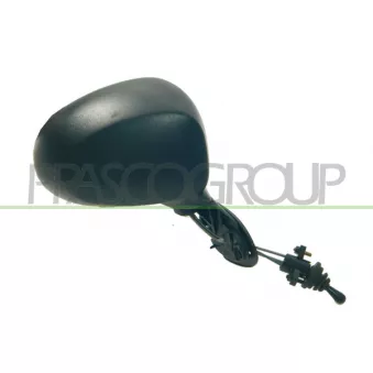 Rétroviseur extérieur PRASCO DW3257003