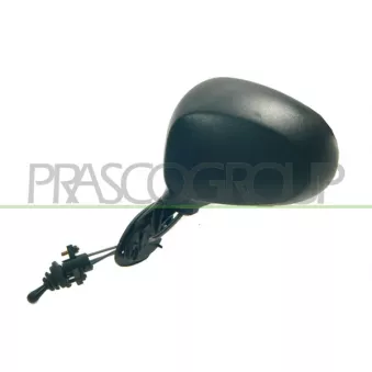 Rétroviseur extérieur PRASCO DW3257004