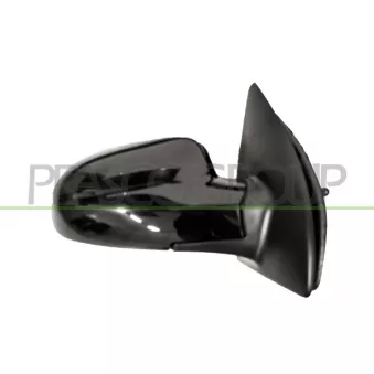 Rétroviseur extérieur PRASCO DW3267123P