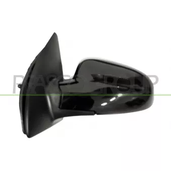 Rétroviseur extérieur PRASCO DW3267124P