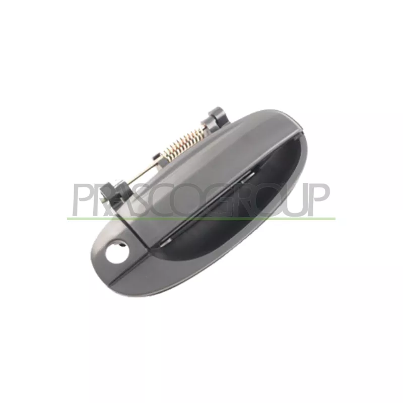 Poignée extérieure de porte avant droit PRASCO DW3268001
