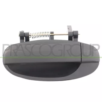 Poignée extérieure de porte arrière gauche PRASCO DW3268102