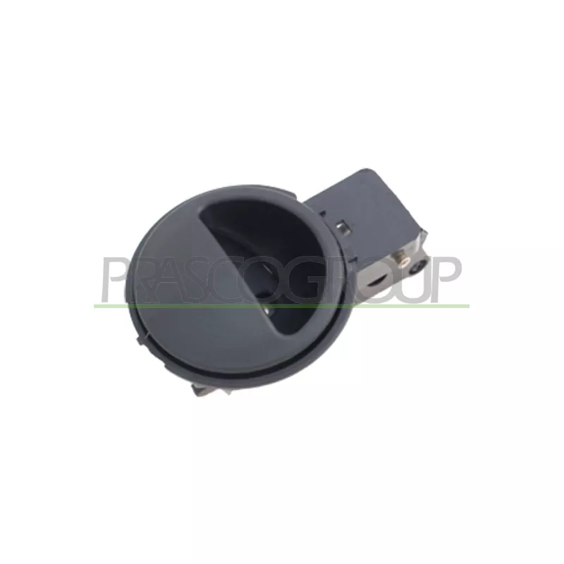 Poignet de porte, équipment intérieur avant droit PRASCO DW3268601