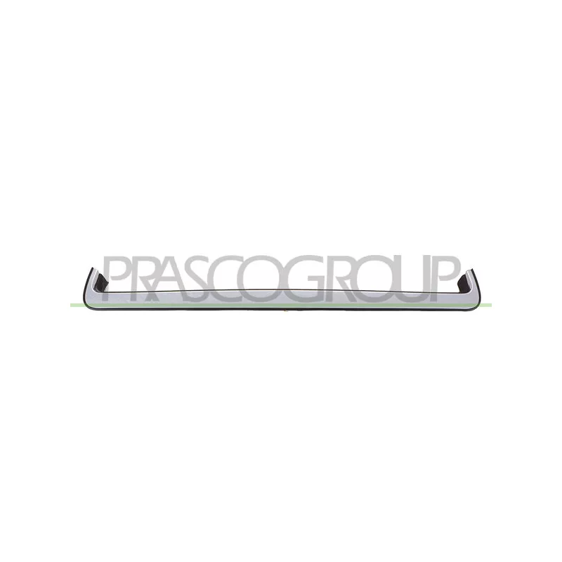 Baguette et bande protectrice, grille de radiateur PRASCO DW3272206