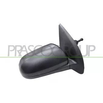 Rétroviseur extérieur PRASCO DW3277103P