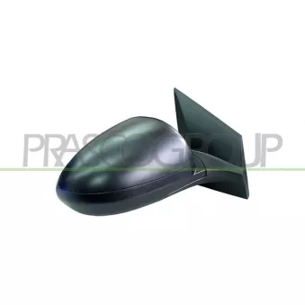 Rétroviseur extérieur PRASCO DW3287013