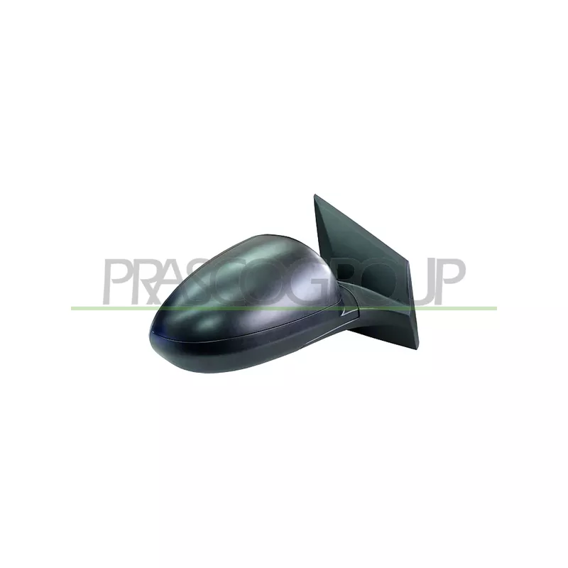 Rétroviseur extérieur PRASCO DW3287013