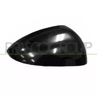 Revêtement, rétroviseur extérieur PRASCO DW3287403
