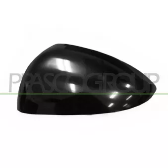 Revêtement, rétroviseur extérieur PRASCO DW3287404