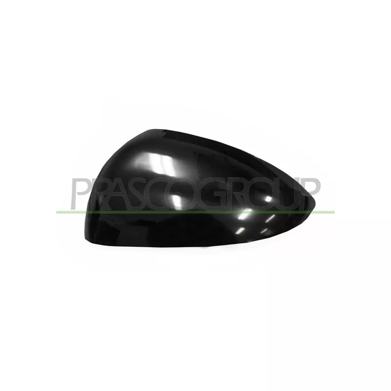 Revêtement, rétroviseur extérieur PRASCO DW3287404