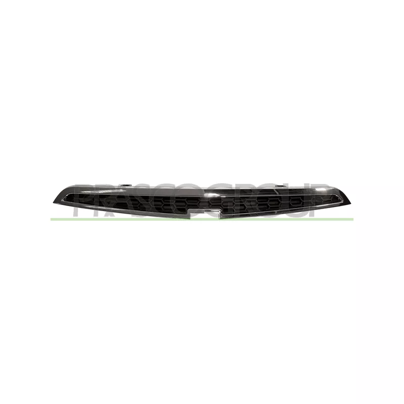 Grille de radiateur PRASCO DW3402001