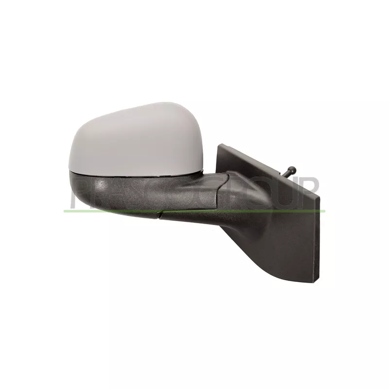 Rétroviseur extérieur PRASCO DW3407123