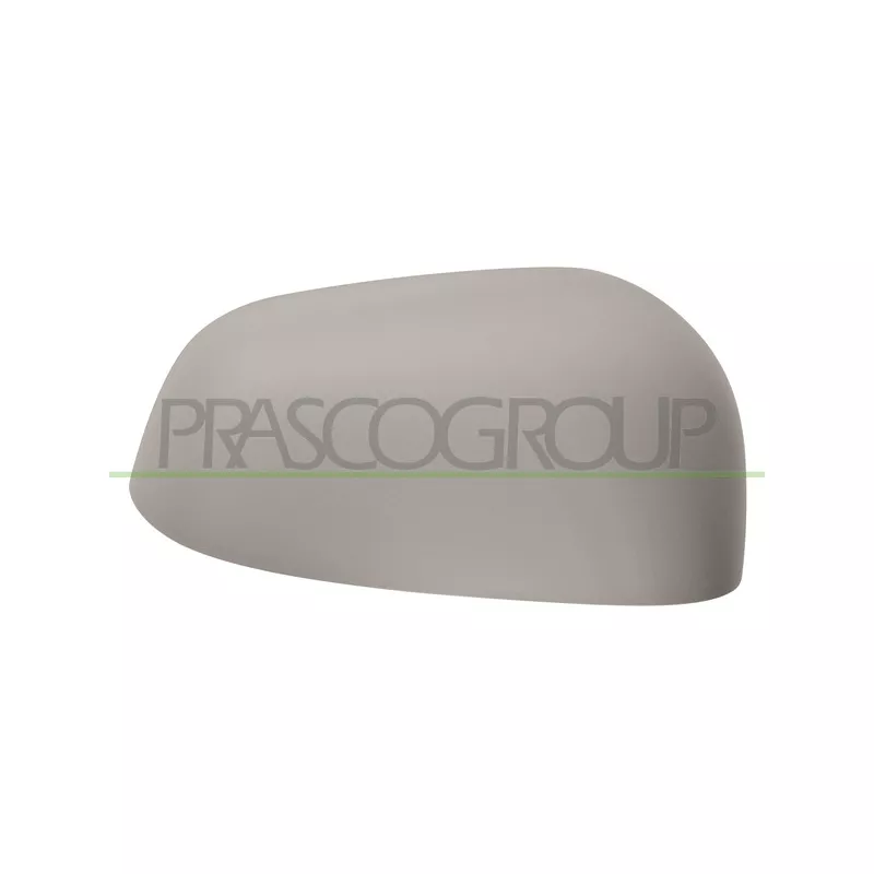 Revêtement, rétroviseur extérieur PRASCO DW3407413