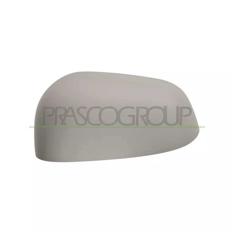 Revêtement, rétroviseur extérieur PRASCO DW3407414
