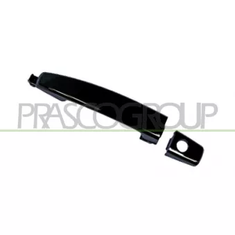 Poignée extérieure de porte avant gauche PRASCO DW7208002