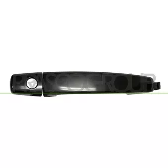 Poignée extérieure de porte PRASCO DW7208004