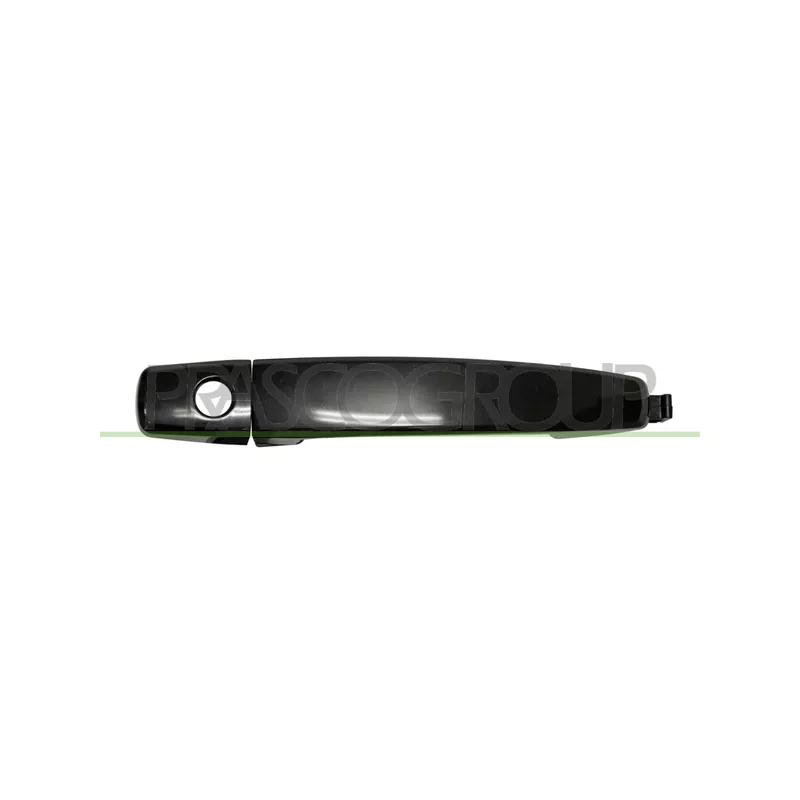 Poignée extérieure de porte PRASCO DW7208004