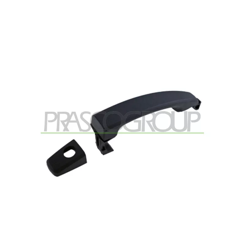 Poignée extérieure de porte PRASCO DW7208008