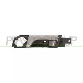 Poignet de porte, équipment intérieur avant gauche PRASCO DW7208402