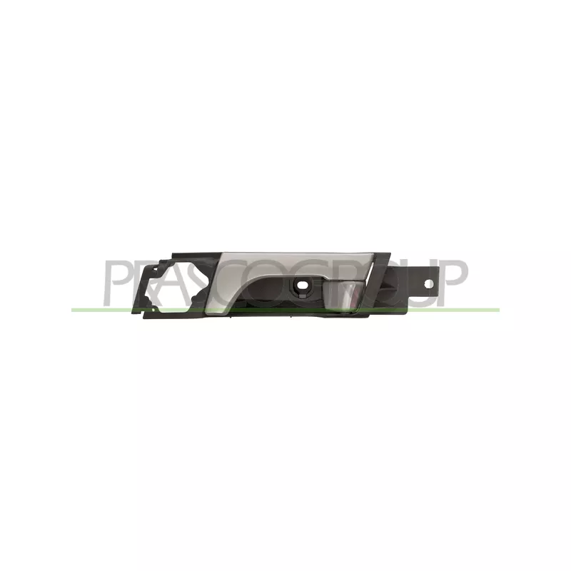 Poignet de porte, équipment intérieur avant gauche PRASCO DW7208402