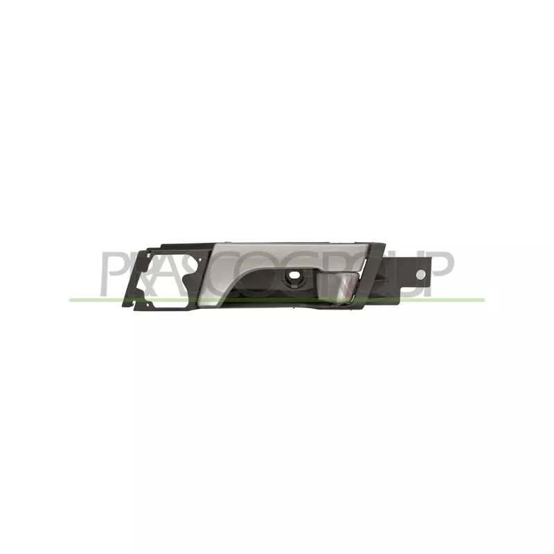 Poignet de porte, équipment intérieur arrière gauche PRASCO DW7208502