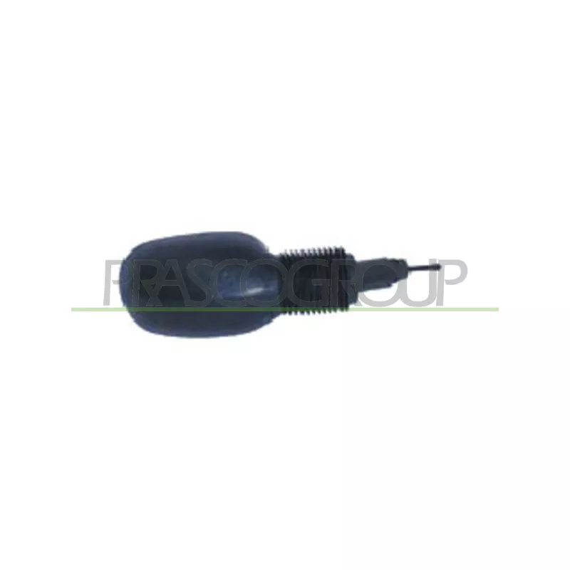 Rétroviseur extérieur PRASCO FD0067113