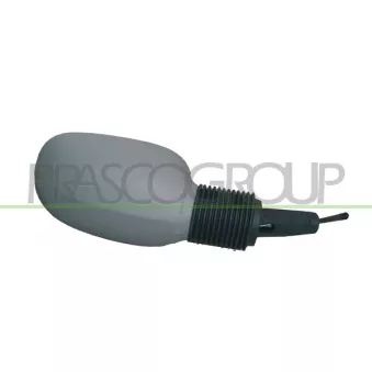 Rétroviseur extérieur PRASCO FD0067123